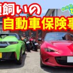 クルマ、バイク、多頭飼いの自動車保険事情