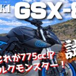 GSX-8S（スズキ）試乗インプレッション / 4k 60fps / ちょっとビックリ！こんな乗り味だったとは⁉