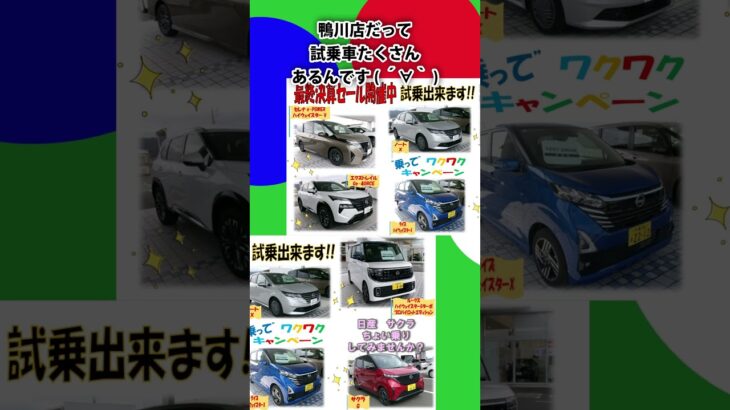 鴨川店だって 試乗車たくさんあるんです( ´∀｀ )