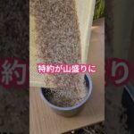 【知らないと損】車の保険をディーラーで入ると30万円ドブに捨てる！？ #お金 #投資 #雑学 #雑学 #副業 #ニュース