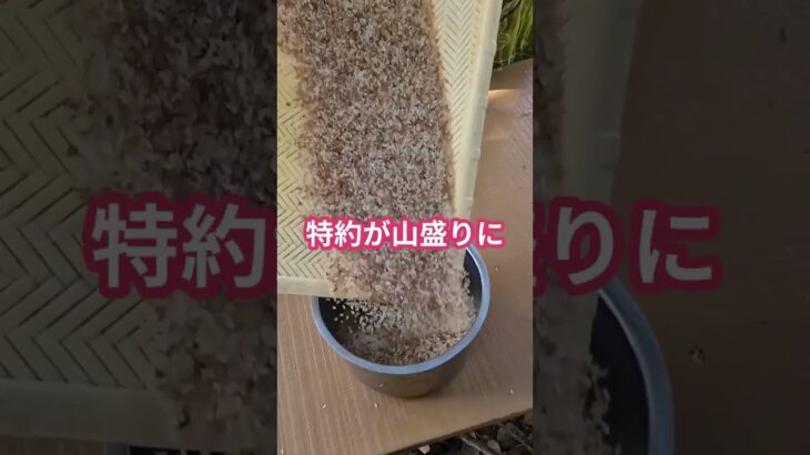 【知らないと損】車の保険をディーラーで入ると30万円ドブに捨てる！？ #お金 #投資 #雑学 #雑学 #副業 #ニュース