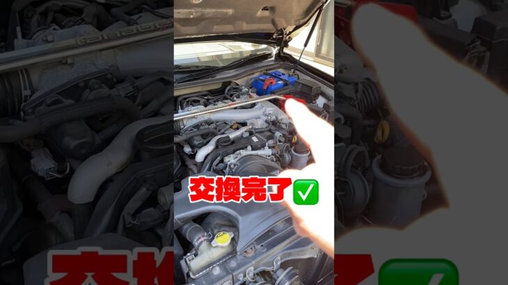 マジェちゃんのバッテリー交換