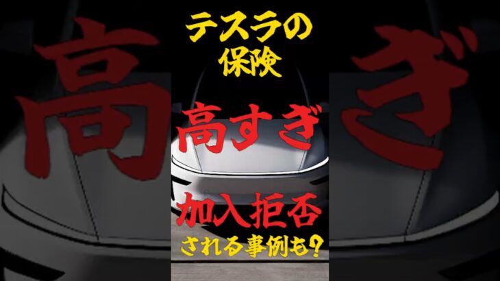 【絶望】テスラの保険料が高すぎる！？年間40万円の罠と安く抑える秘策を徹底解説