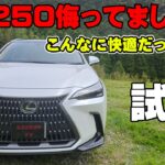 レクサス NX250試乗レビュー NXがここまで良い車だったとは… 乗り心地〇 静粛性〇 加速〇 リセールも良い最高の一台 versionｌ バージョンＬ