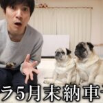 【生配信】ネットで自動車保険の見積もりします → トモコレ実況
