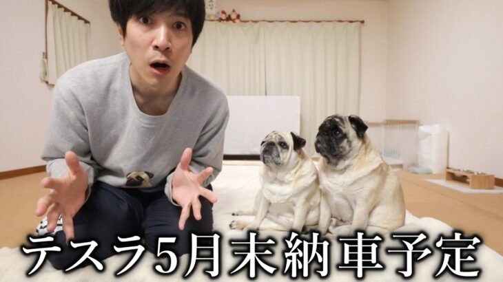 【生配信】ネットで自動車保険の見積もりします → トモコレ実況