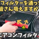 【エアコンフィルター】交換しないと虫やゴミが大量に⁉️車のエアコンフィルター交換❗️