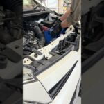 バッテリーやオイル交換等お気軽にご相談下さい！#広島市 #自動車販売 #セーブ自動車 #マイカーリース相談館 #butterfly