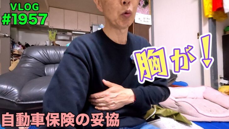 自動車保険の更新 荷物の積み下ろしで胸を負傷！ どこが痛いのか？