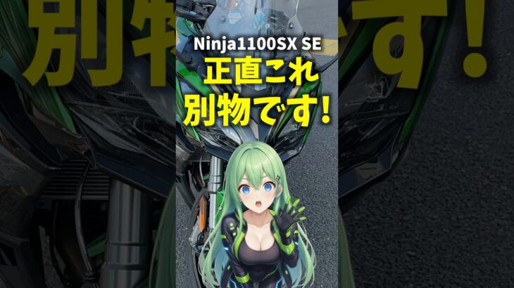 正直別物！ #カワサキ #ニンジャ1100SX 試乗レビュー！ kawasaki Ninja1100SX SE