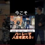 試乗車を複数ご用意！中古車も充実！今だ！！