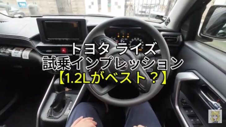 【NA1.2Lが最適解かも】ライズ試乗インプレッション