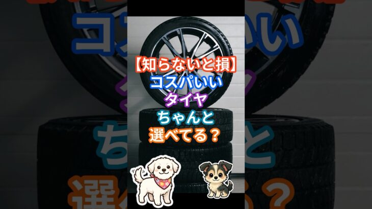 【知らないと損】コスパいいタイヤちゃんと選べてる？タイヤ,タイヤ交換,タイヤ選び,コスパタイヤ,ウェット性能,グリップ,車雑学,車知識,整備知識,安全運転,雨の日運転,タイヤレビュー,ネット購入