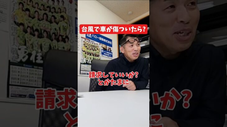 台風で車が傷ついたら？#保険代理店 #保険屋さん #社長インタビュー #火災保険  #自動車保険