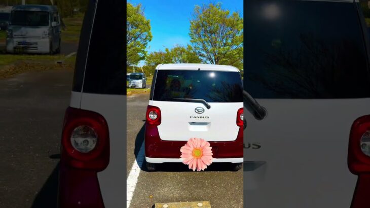 【試乗OK】SUZUKIムーヴキャンバス導入いたしました！