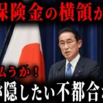 【注意！車両購入者全員が対象です】保険料の横領が発覚しました…横領の裏に潜む政治の闇とは？【ゆっくり解説】