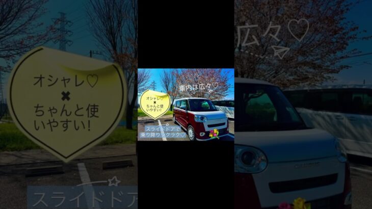 【試乗できます！】DAIHATSUムーヴキャンバス＆タントカスタムが展示者として入庫しました！