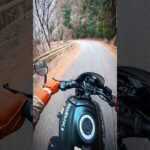 スズキ GSX-8TT でワイディング！SUZUKI GSX-8TT Review in JAPAN #バイク #ツーリング   #モトブログ