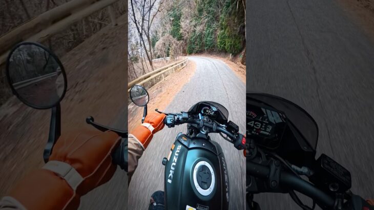 スズキ GSX-8TT でワイディング！SUZUKI GSX-8TT Review in JAPAN #バイク #ツーリング   #モトブログ