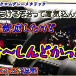 納車済ムーヴやっとカーナビ取付するけど困難やまずみ！