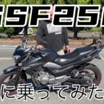 GSF250に乗ってみた　2025.10