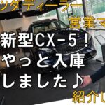 ★新型CX -5★待望の入庫