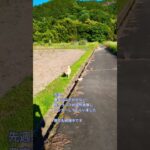 自動車保険の大切さ