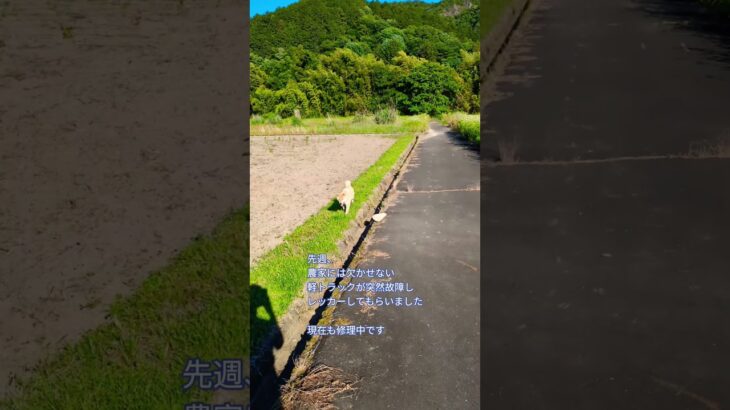 自動車保険の大切さ