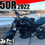 【HONDA CB250R 試乗インプレ】超おすすめ！ネオスポーツカフェの走りに惚れ込んだ理由。