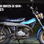 バンバン125　３型　RV125-3　作動確認　エンジン始動　試乗