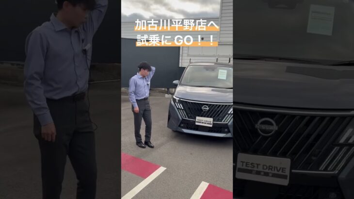 【GO！】試乗は加古川平野店へ！＃日産＃兵庫日産加古川平野店＃試乗＃GO＃加古川かつめし＃加古川パスタ＃加古川＃加古川中央＃澤田＃SOWA＃二見＃セレナ＃エルグランド