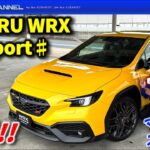 6MT・600台限定！SUBARU WRX STI Sport♯試乗でマリオさん大感動！