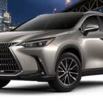 I Review a Lexus NX, & it’s surprisingly good! Here’s why!