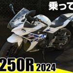 【SUZUKI GSX250 】隠れた名車!?「遅い」という噂は本当か？実際に乗って分かった意外すぎる真実。試乗インプレ