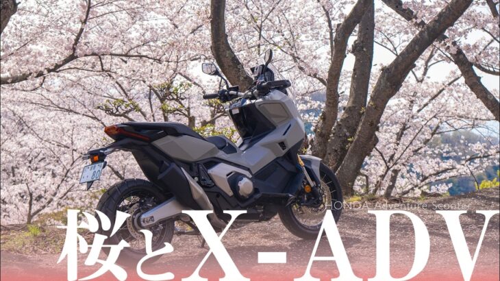 【試乗インプレ】ホンダ X-ADVで春の倉敷ツーリング！種松山公園の桜とX-ADVを満喫