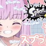 【スプラトゥーン3】自動車の保険と税金が高すぎるガチマッチョ