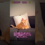Q.「車の保険代が高い」FPの答え→車両保険を切れ #shorts