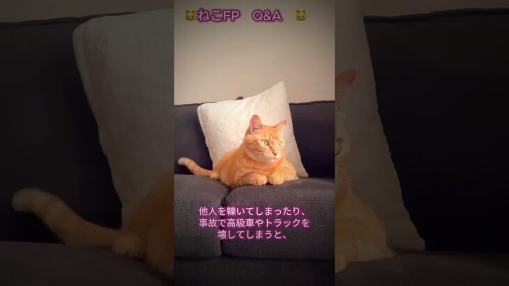 Q.「車の保険代が高い」FPの答え→車両保険を切れ #shorts