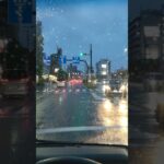 嫌いじゃない大雨ドライブ ハイゼットカーゴ 軽バン #ドライブ #軽バン #ダイハツ #ハイゼットカーゴ #アトレー #車中泊 #大雨 #ゲリラ豪雨 #走行動画 #試乗 #エブリイ #寝落ち #癒し