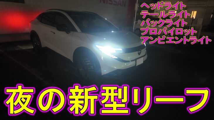 【新車】新型リーフ 夜だから分かる事