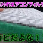 忘れ去られた2年半、ハイエースのエアコンフィルター交換したらえげつなかった！