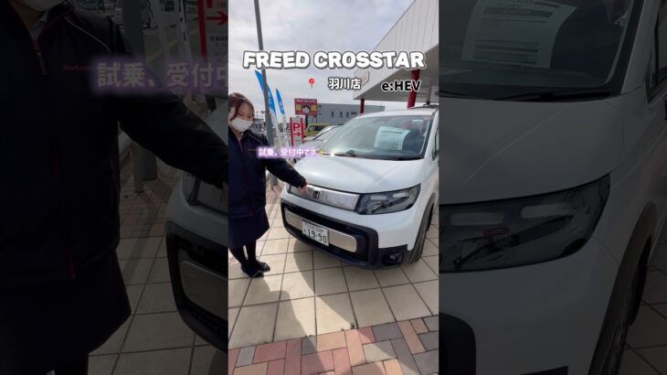 FREED CROSSTAR🚘♡📍羽川店　試乗、受付してます✨#HONDA #ホンダカーズ栃木中央 #freedcrosstar #freed