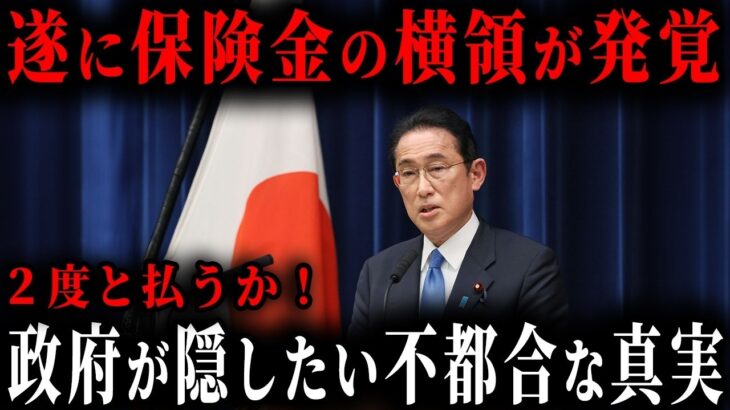 注意車両購入者全員が対象です保険料の横領が発覚しました横領の裏に潜む政治の闇とはゆっくり解説