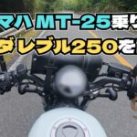 【Rebel250】MT-25乗りが大人気250ccクルーザーに試乗！長所と短所を本音レビュー【冥鳴ひまり】