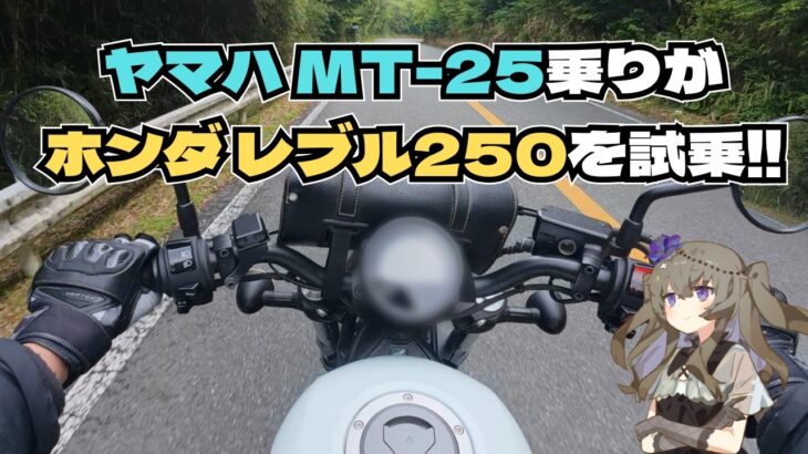 【Rebel250】MT-25乗りが大人気250ccクルーザーに試乗！長所と短所を本音レビュー【冥鳴ひまり】