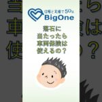 落石に当たったら車両保険は使えるの？