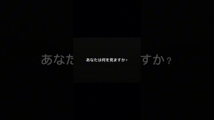 事故した時、まず車見る？