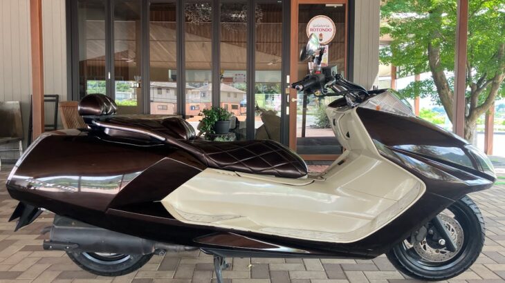YAMAHA マグザム SG21J 250cc FI車　機関良好　低走行車　動画有り　エナメルシート　バッテリー交換済み
