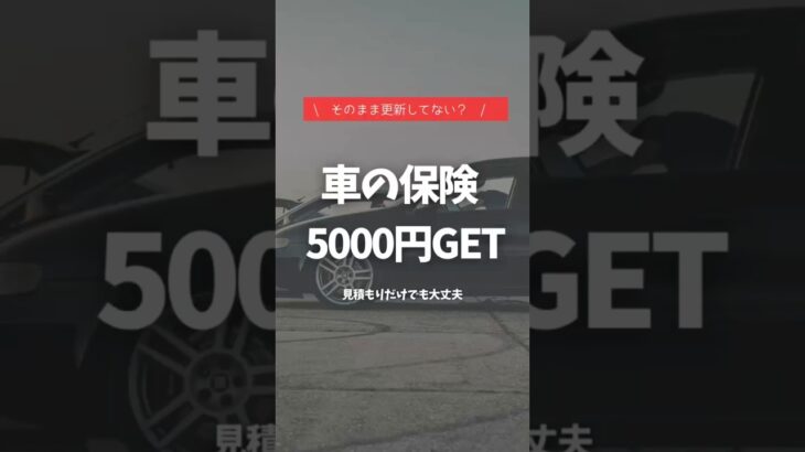 自動車保険更新のたびに放置してない？