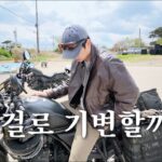 혼다 레블500 살까 CL500 살까? 직접 타보니 답은 정해졌습니다